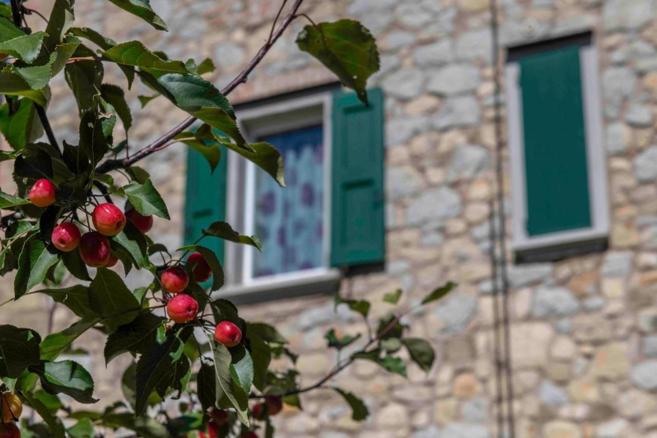 Podere Pratizzoli Tole Eksteriør billede